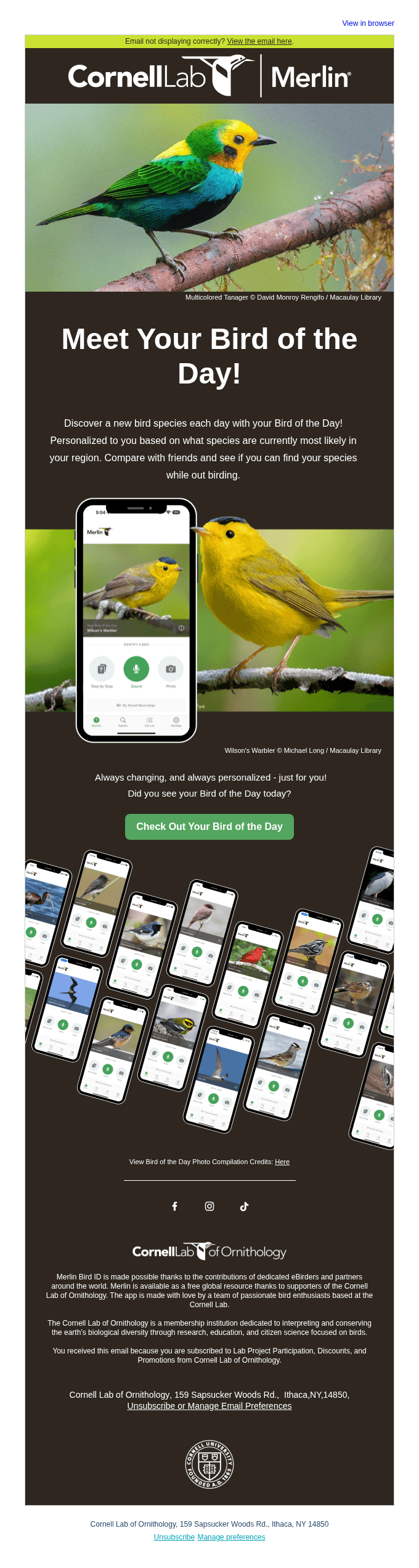 You Have a Match! Meet Your Bird of the Day 🐤