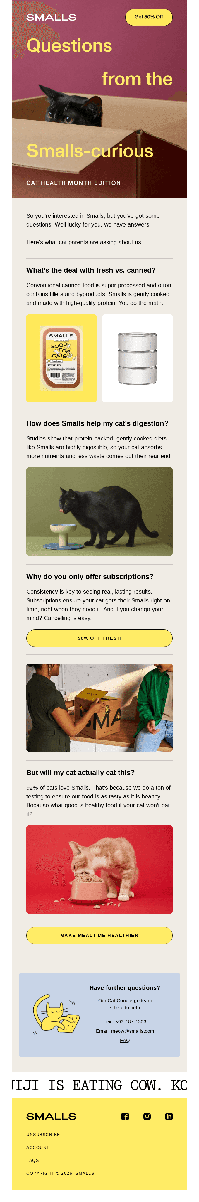Your cat health questions, answered.